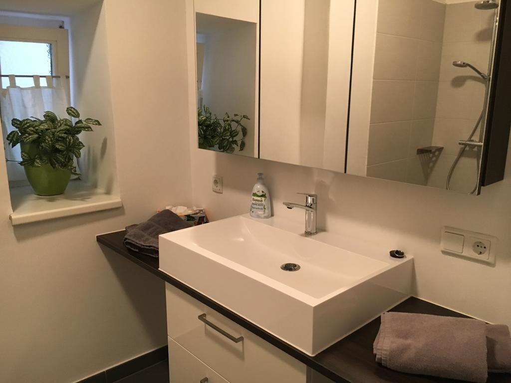 Apartment Enzinger Bruck an der Mur Dış mekan fotoğraf